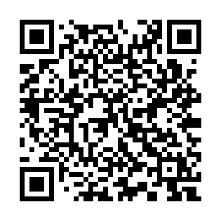 QR code for 335QQX