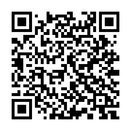 QR code for 335RDA
