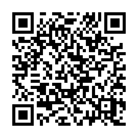 QR code for 335TCX