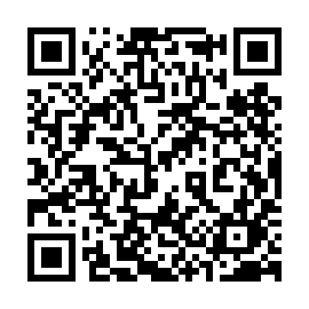 QR code for 335TIL