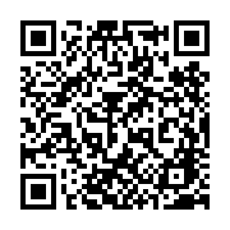 QR code for 335TNG