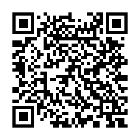 QR code for 335TRY