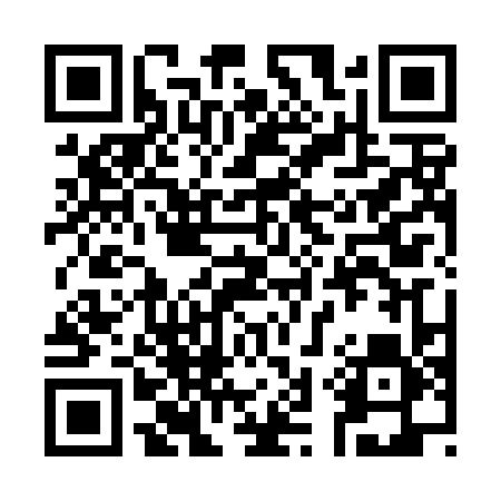 QR code for 336DLV