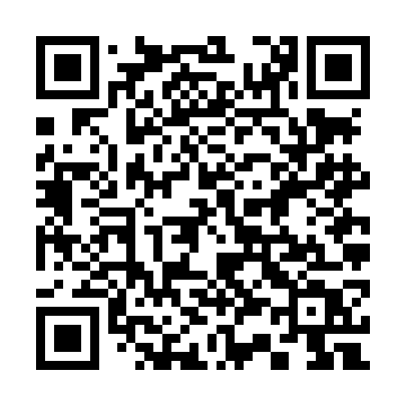 QR code for 336LGT