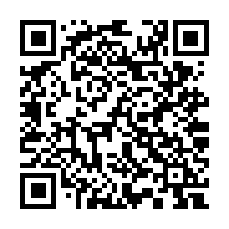 QR code for 336VEI