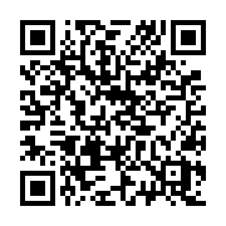 QR code for 336VNX