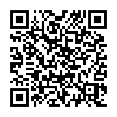 QR code for 336ZAS