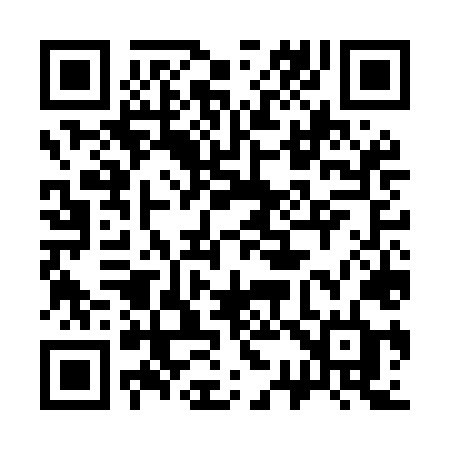 QR code for 337MLD