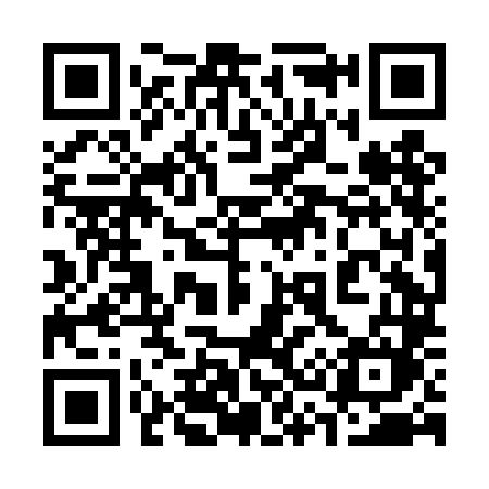QR code for 338DLM
