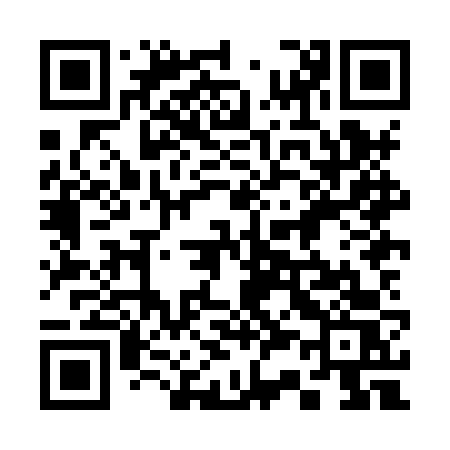 QR code for 338HVS