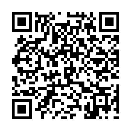 QR code for 338MGS