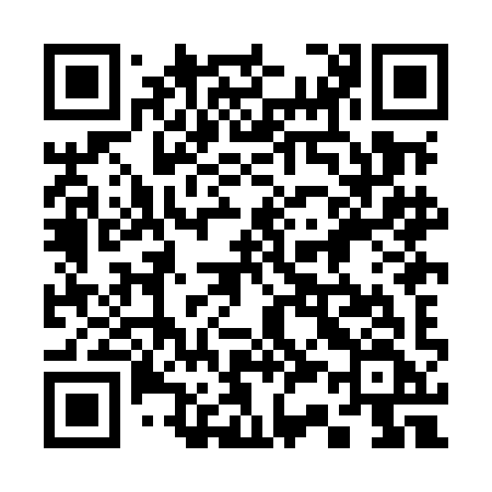 QR code for 338MIF