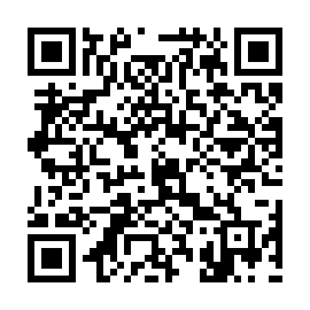 QR code for 338SBT