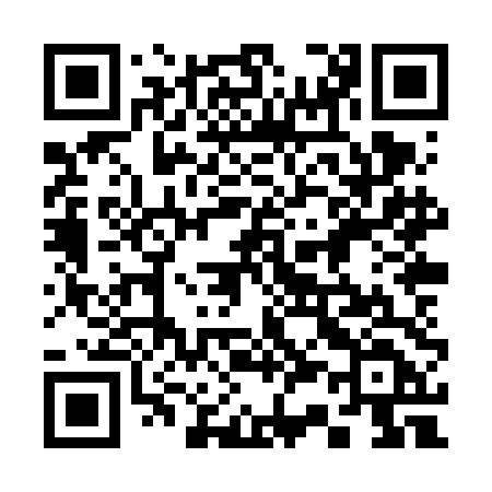 QR code for 338VDD