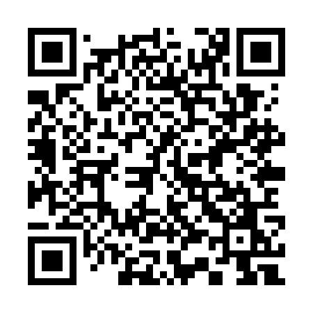 QR code for 338WOO