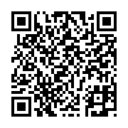 QR code for 339DPI