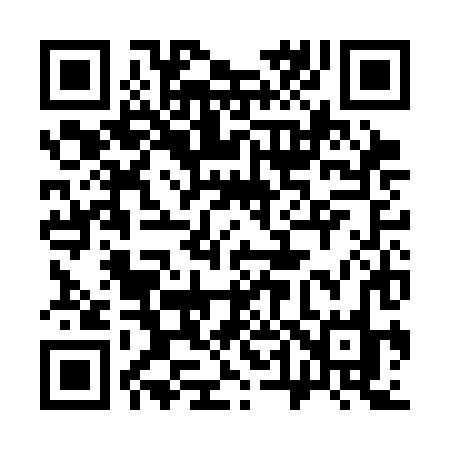 QR code for 343CHO
