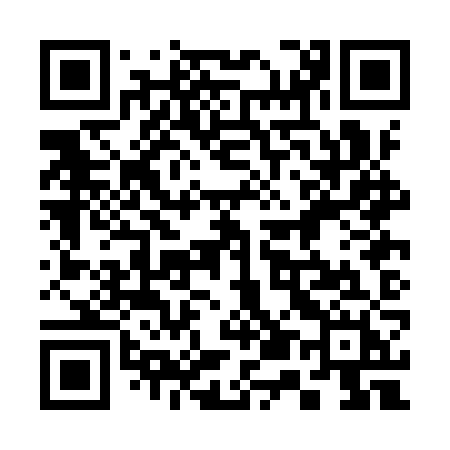 QR code for 350IZH