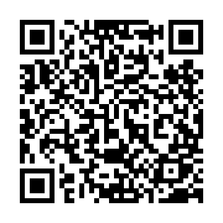 QR code for 368DMP