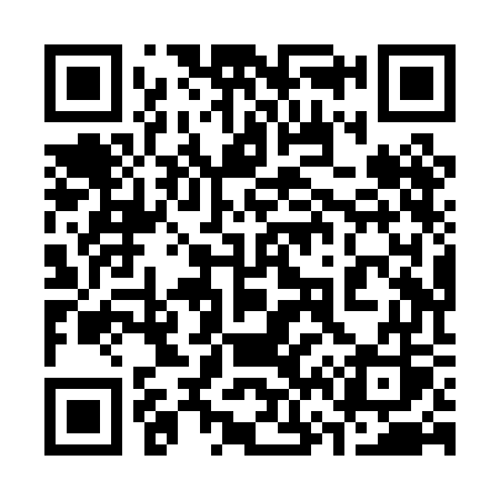 QR code for 368PGS