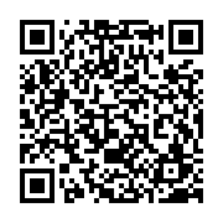 QR code for 369MSV