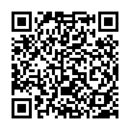 QR code for 369PQI