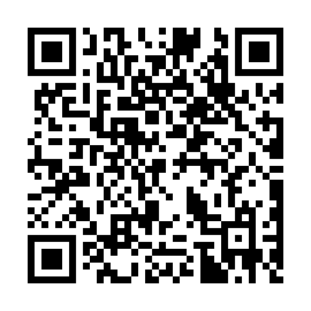 QR code for 376PBM