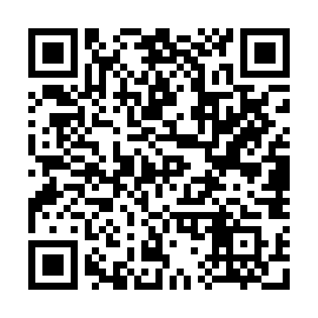 QR code for 377POS