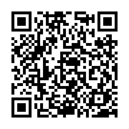 QR code for 379BSL