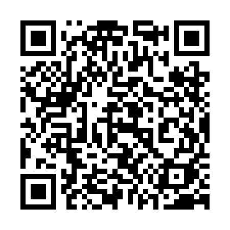 QR code for 379SEI