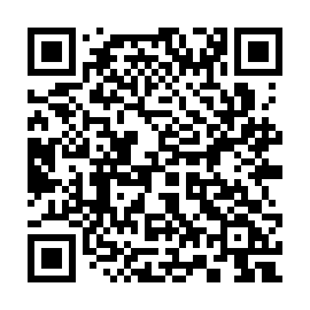 QR code for 379SFF