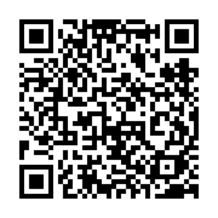 QR code for 381FEI