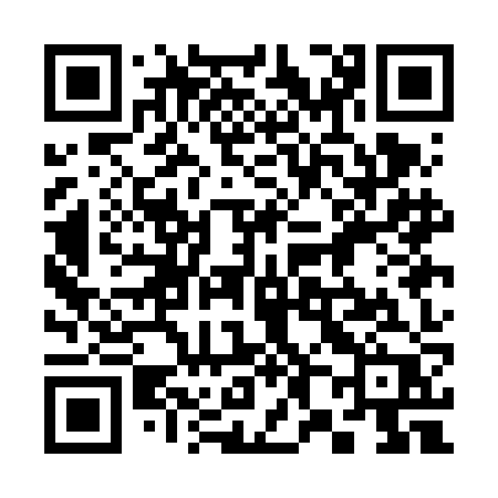 QR code for 381FJP