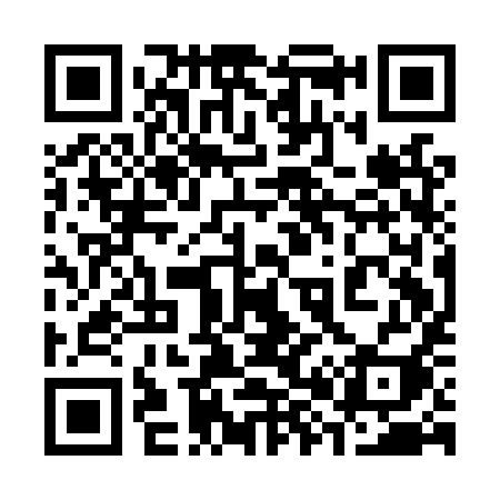 QR code for 381LYI
