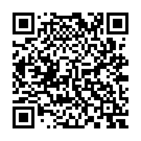 QR code for 381QII