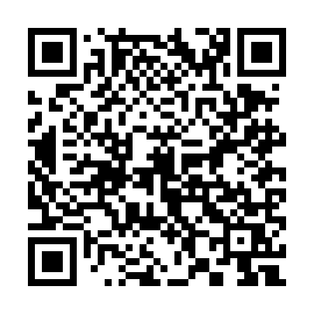 QR code for 382DMS