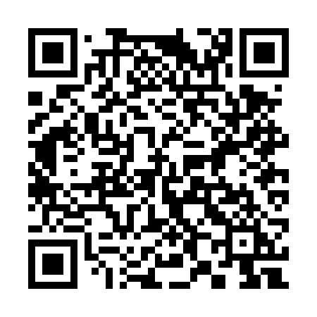 QR code for 382DRI