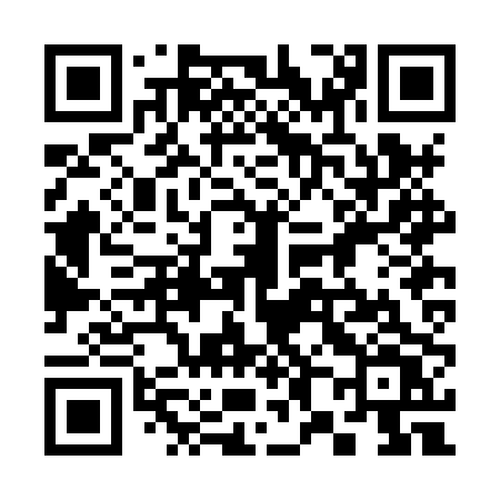 QR code for 382HPV