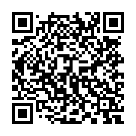 QR code for 382LXS