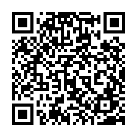 QR code for 382QGV
