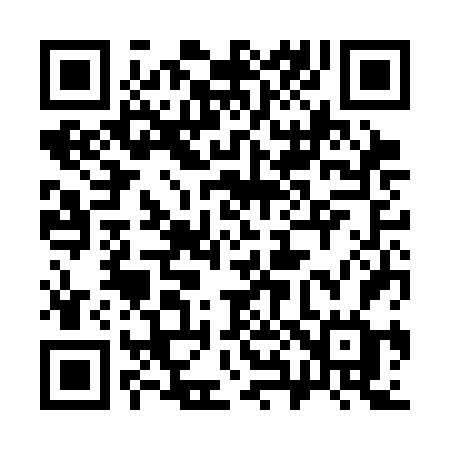 QR code for 383CFG