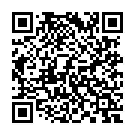 QR code for 383MNL