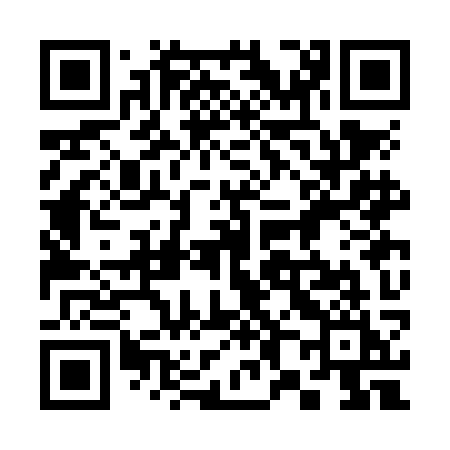 QR code for 383NKI