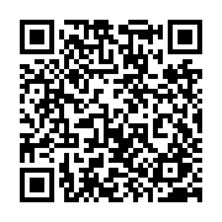 QR code for 383NZW