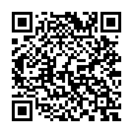 QR code for 383PRN