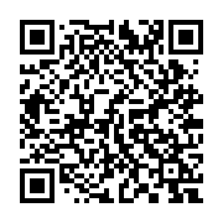 QR code for 383ROG
