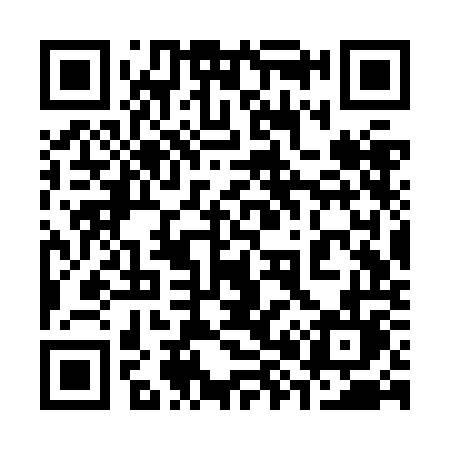 QR code for 383ZOL