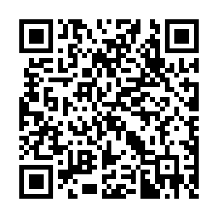 QR code for 384AHF