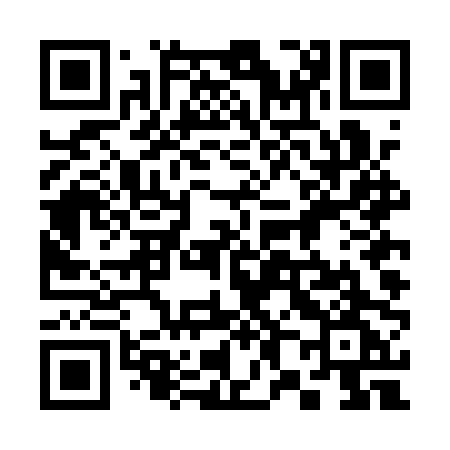 QR code for 384APG