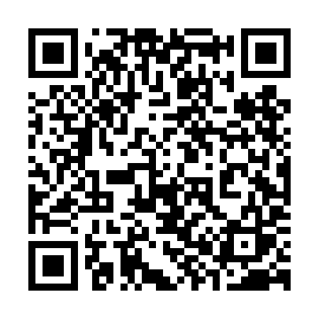 QR code for 384DIS